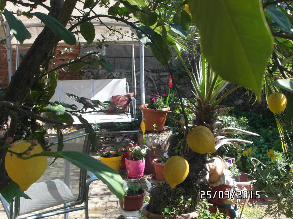 Beach House Apartment Side Oda fotoğraf