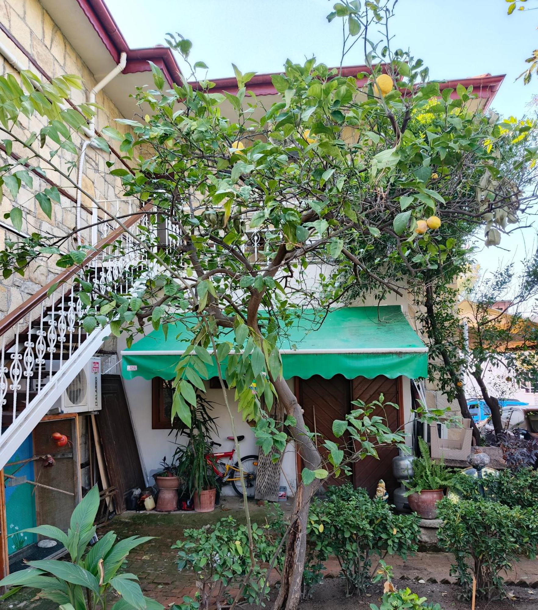 Beach House Apartment Side Dış mekan fotoğraf